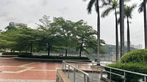 广州五月这天气，主打一个全天候返潮加湿模式，空气里全是水，连风都带着水...