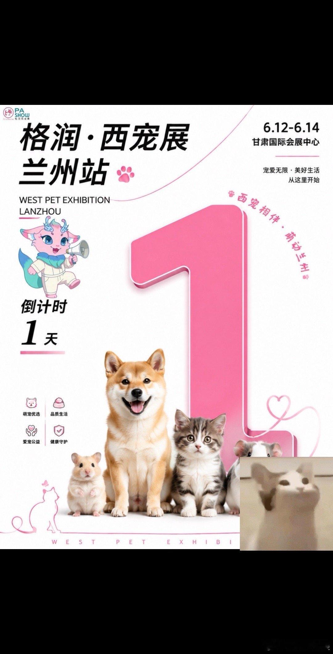 兰州宠物盛宴｜倒计时1️⃣天！🌟格润·西宠展 ｜兰州站〖6月12日—...