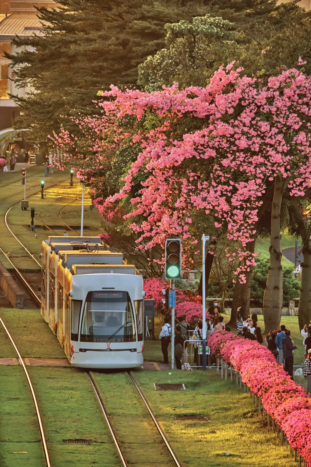 该如何跟你描述🌸广州的秋天究竟有多浪漫～