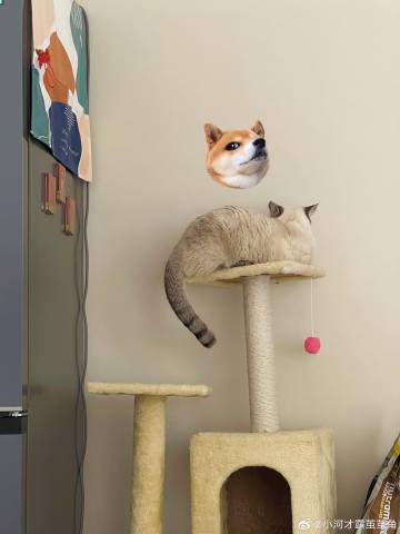 再次替那些跳槽的前同事们感到幸运<br />你们的离开是明智的<br ...