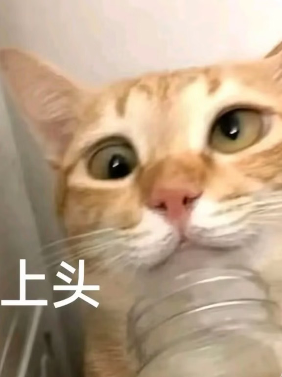 上辈子坏事做绝 这辈子干公安