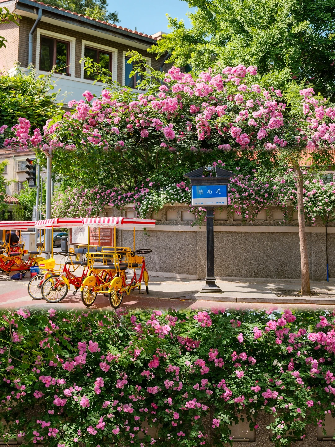 清明反向旅行🌸假期来这里赏春追星蹦野迪