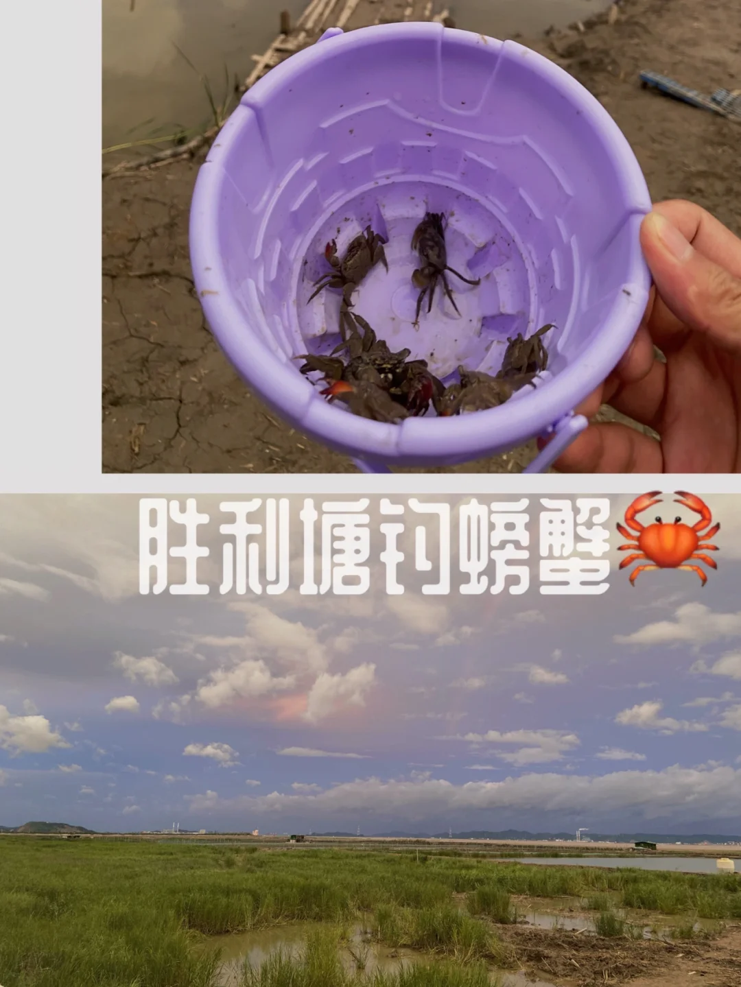 乐清｜周末带娃好去处周边亲子玩赶海钓螃蟹