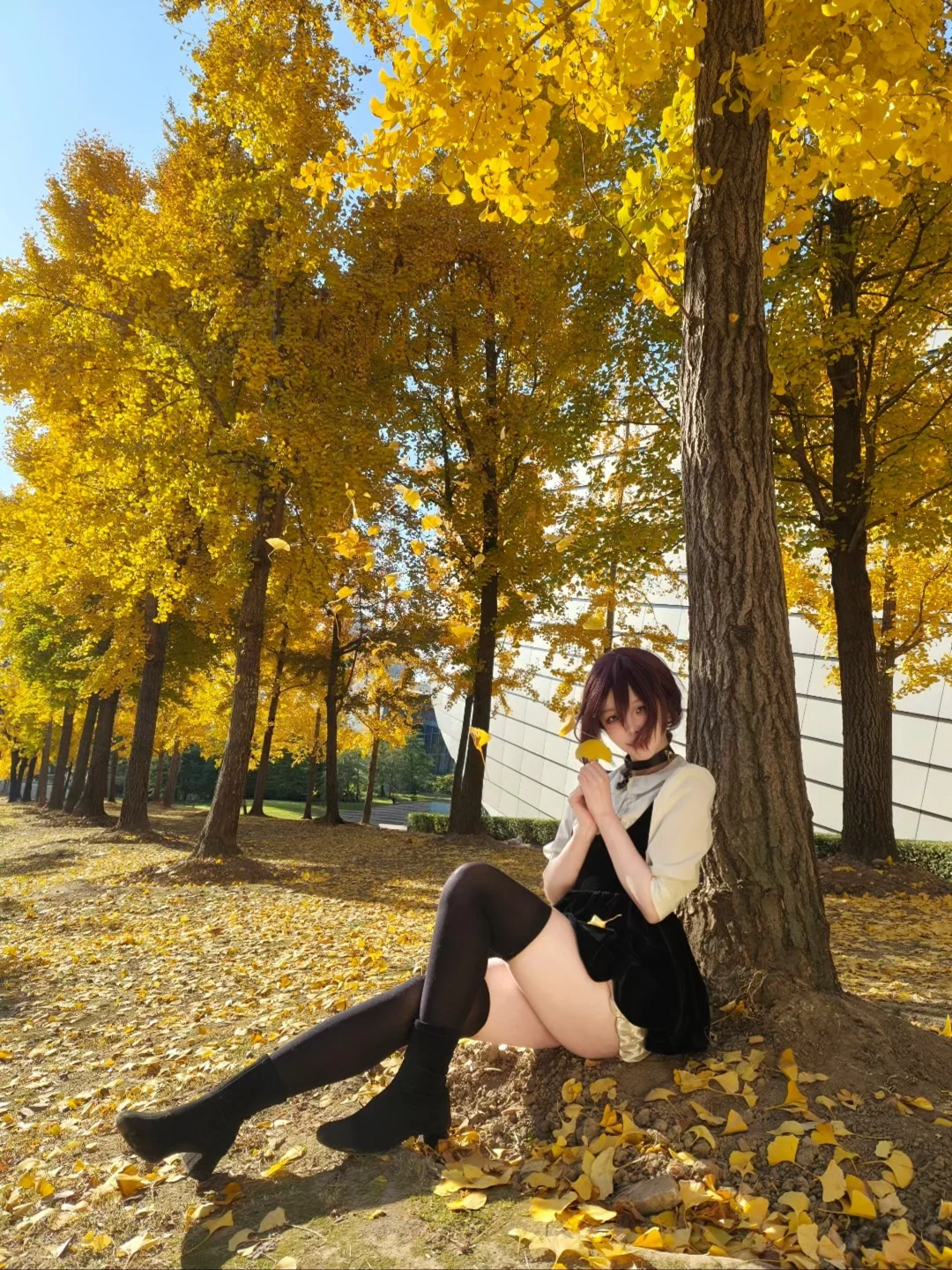 秋日Live🍂 “我来赴约了 电次君”