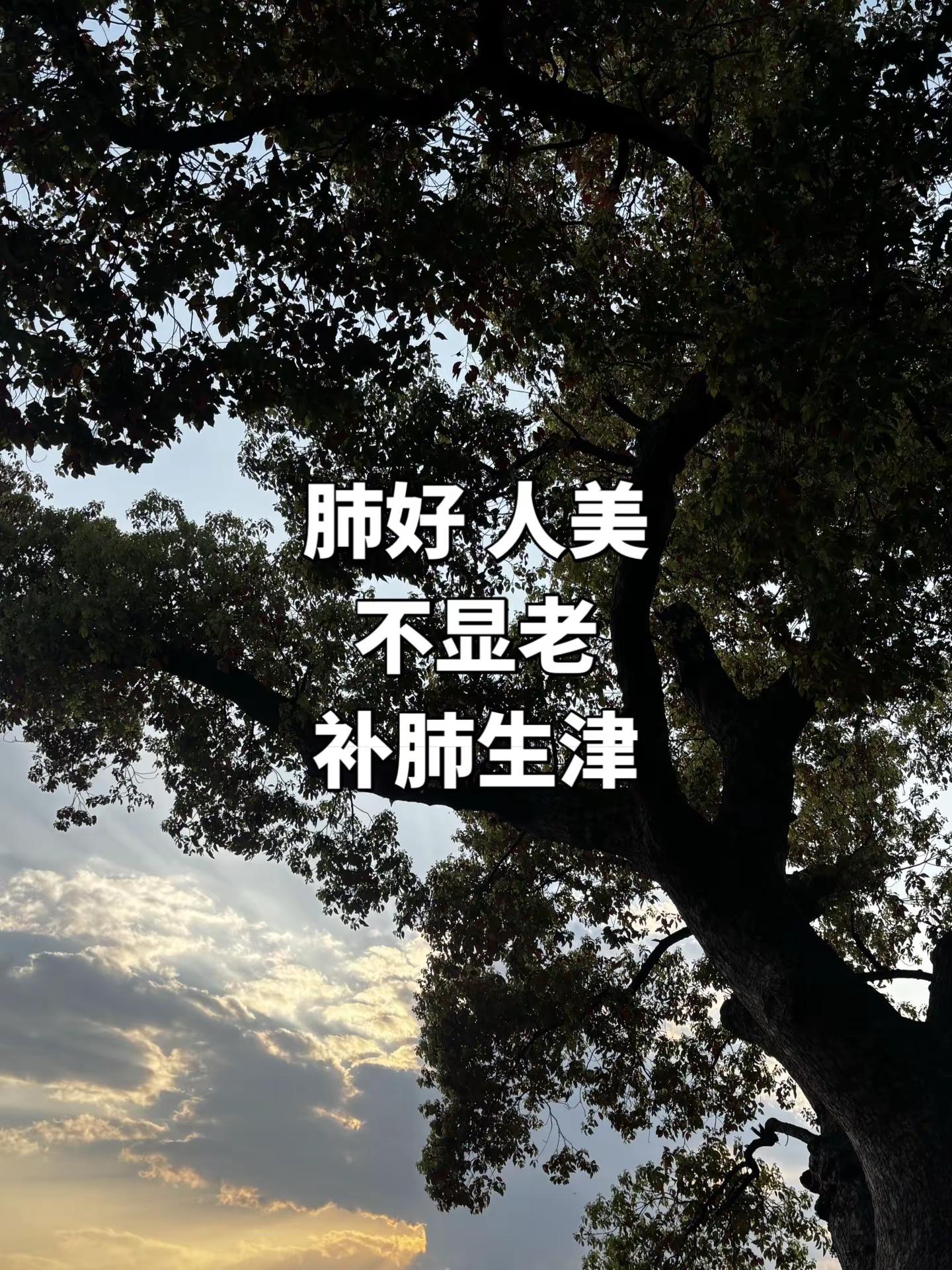 马刺还是太年轻了，关键失误&amp;绝杀不中，马刺主场再负尼克斯文班亚马错失绝杀 ＃尼克斯105比104险胜马刺＃尼克斯2比0马刺