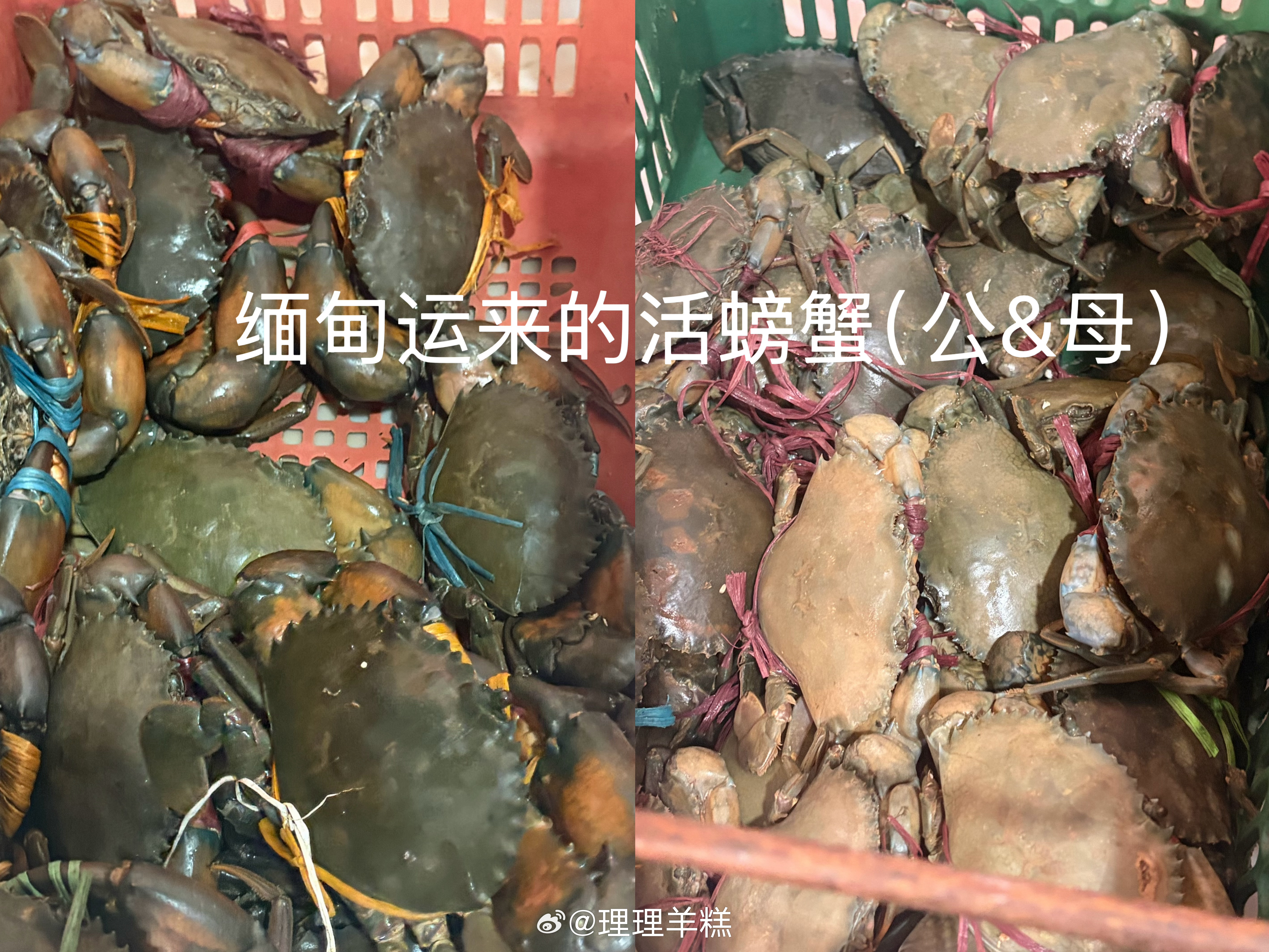 中缅边境自驾第二站——大理（没下高速）直接干到第三站——芒市！！！（蒽...