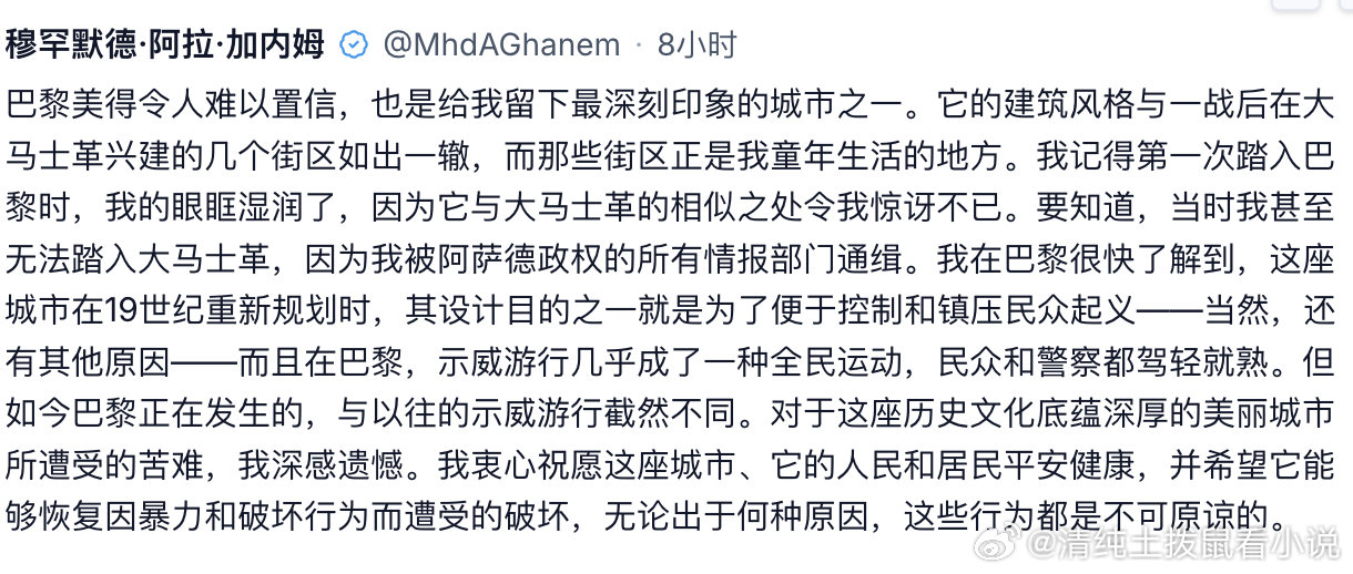 你知道你基本上在说巴黎是叙利亚风 ​
