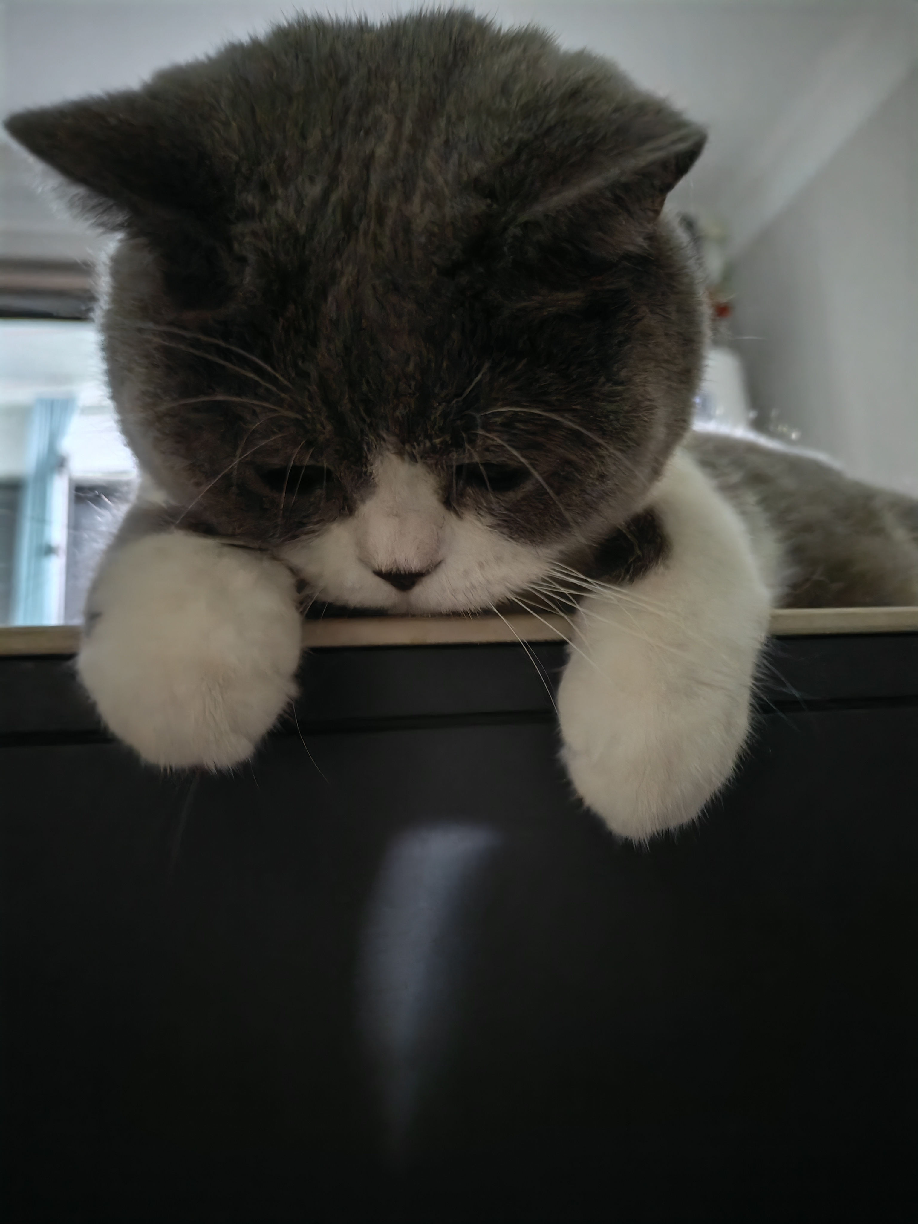 #每天和肖战说晚安# 今天是火龙果猪猪，真奇怪今年火龙果不太火，水果店不主推，明明前两年还到处都是呢，不过还是很好吃的，可爱的袜子图案，我发现if这个包装撕起来特别解压特别顺的长条，简直像为什么手工准备的材料，又去嗦粉了，感恩配菜生菜让我摄入一点蔬菜，早餐买了双人份永和大王然后把豆浆 ​