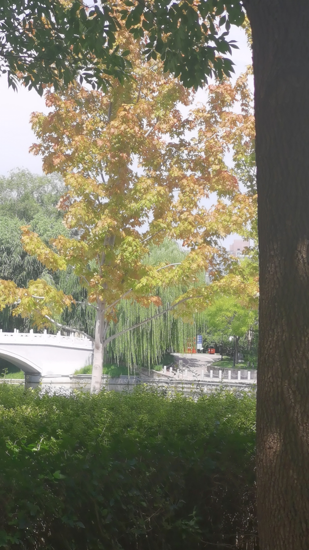 这一辈子有几个能一起吃吃喝喝的酒肉朋友就可以了。别奢求太多。