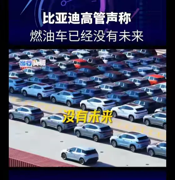 3.22亿辆燃油车，被一句话判了“死缓”

不是禁售，不是强制报废，甚至没有任何一纸红头文件。但就在最近，3.22亿辆燃油车，被一句话，判了“死缓”。

说出这句话的人，是比亚迪执行副总裁李柯。她的原话很简短，却像一颗深水炸弹，炸翻了整个汽车圈：“在中国，闪充普及后，燃油车已经没有未来。”

狂