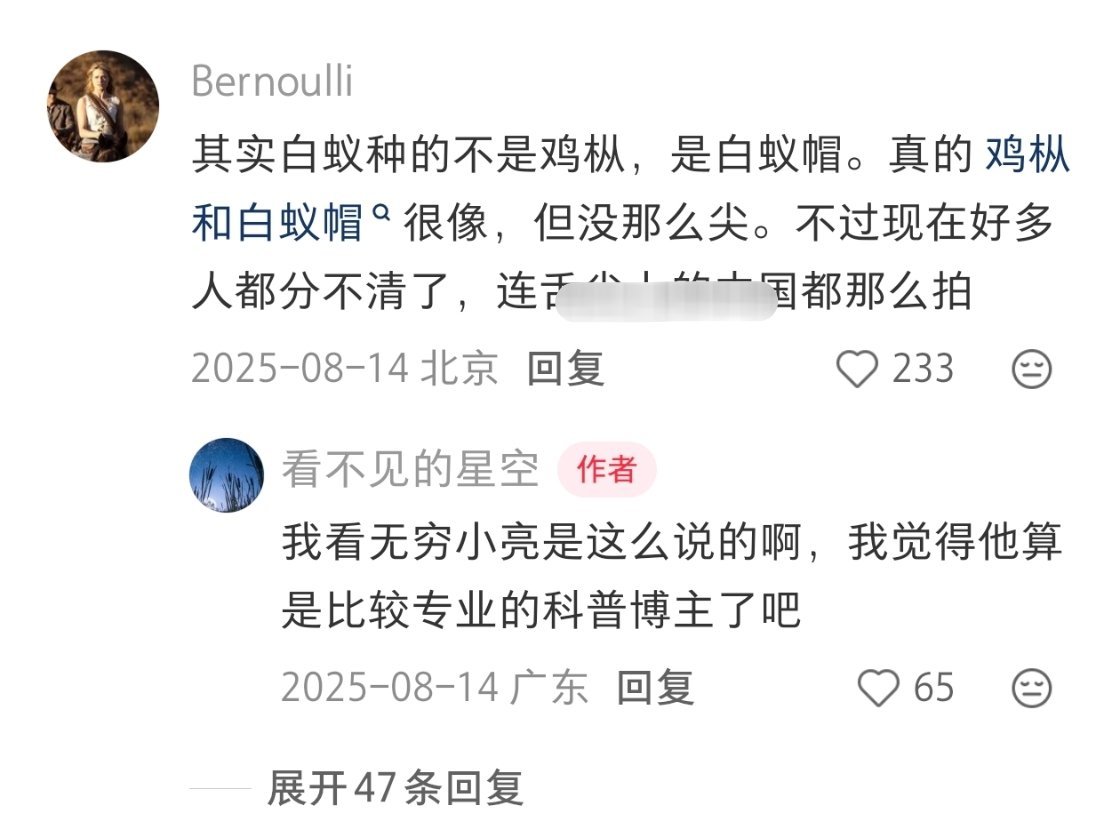 原来鸡枞菇是人类捡白蚁的漏啊 ​​​