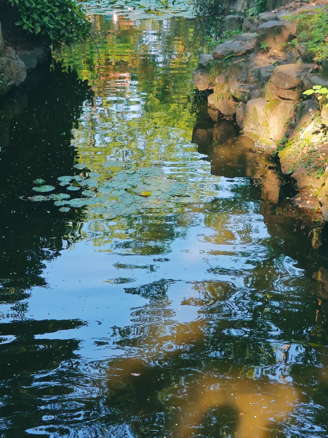 看园林不用去苏州，醉白池除了门票不是平替