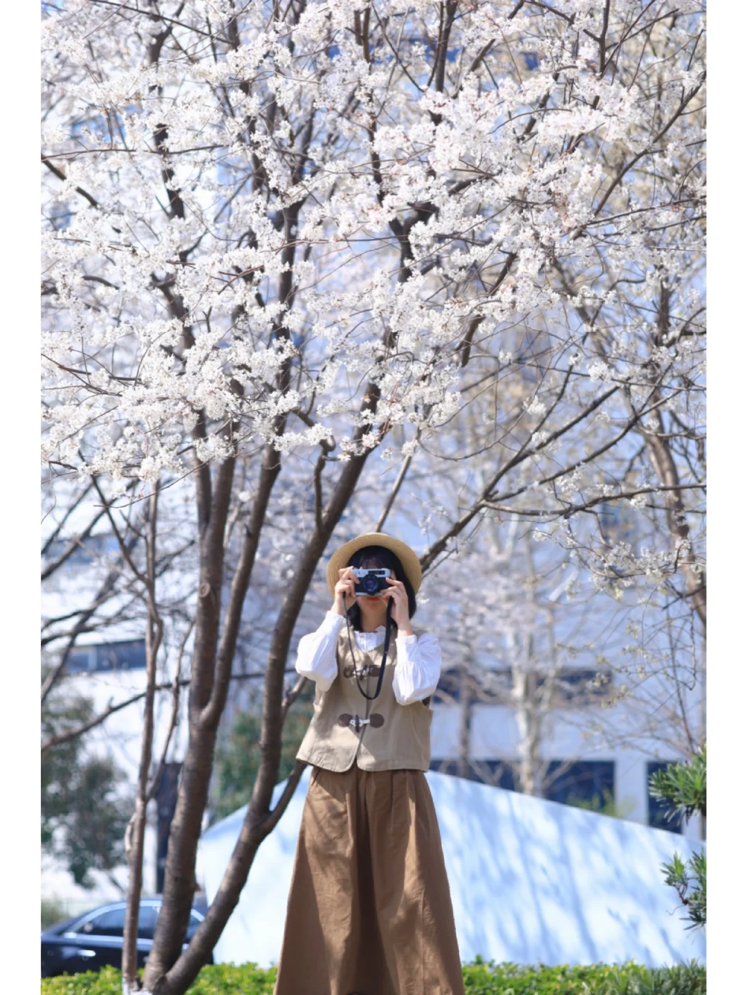 快冲❗️武汉冷门赏樱地，免费人少媲美日本