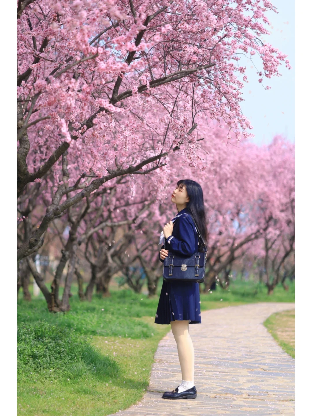 来武汉别只去樱园❗️对面梅园正盛无人问津