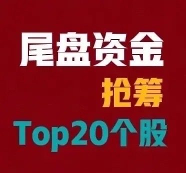 2026年7月30日 A股尾盘最后30分钟主力资金抢筹前20名：1. ...