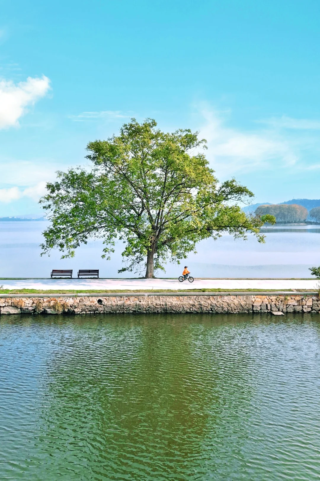 想告诉全武汉！爱惨了东湖这条小众骑行路线！