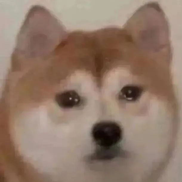 丰富一下你的聊天表情包