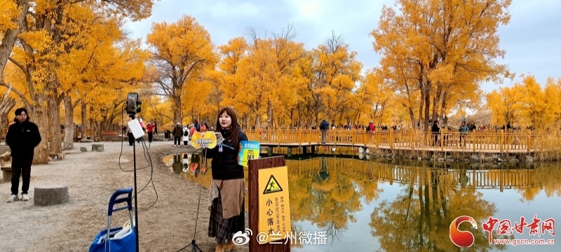 醉美秋色在甘肃【金塔胡杨林进入最佳观赏期】深秋，金塔胡杨林换上金装，迎来一年中最美时刻。金波湖静卧林海之中，是这片秋色的灵魂。晴日无风，湖面如镜，胡杨、蓝天、流云尽数倒映水中，林在水上，水藏林间。漫步环湖木栈道，风吹金叶，树影轻摇，虚实相映，独属于金塔的水上胡杨画卷徐徐展开。一年一期金色限定，赴大漠金秋之约✨同城热点创作计划文旅中国行