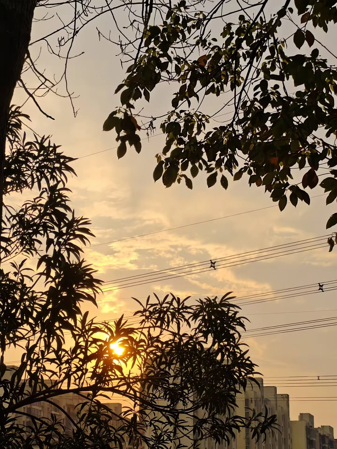 被今天的晚霞硬控了！