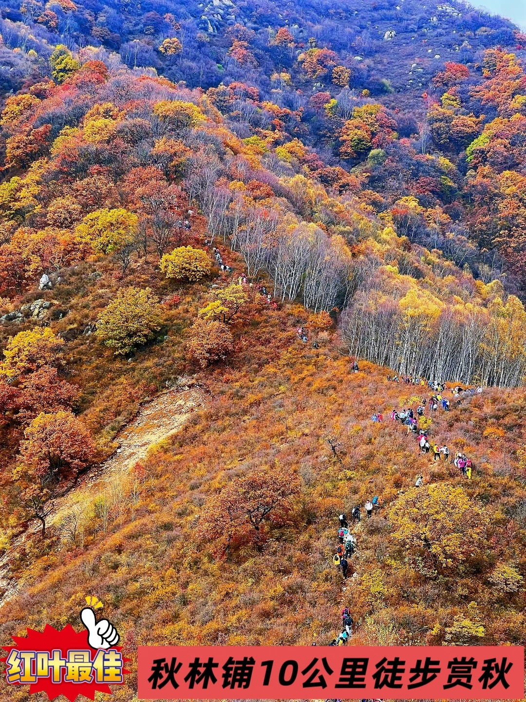 拐进房山深处，我闯进了2026年最美的秋天