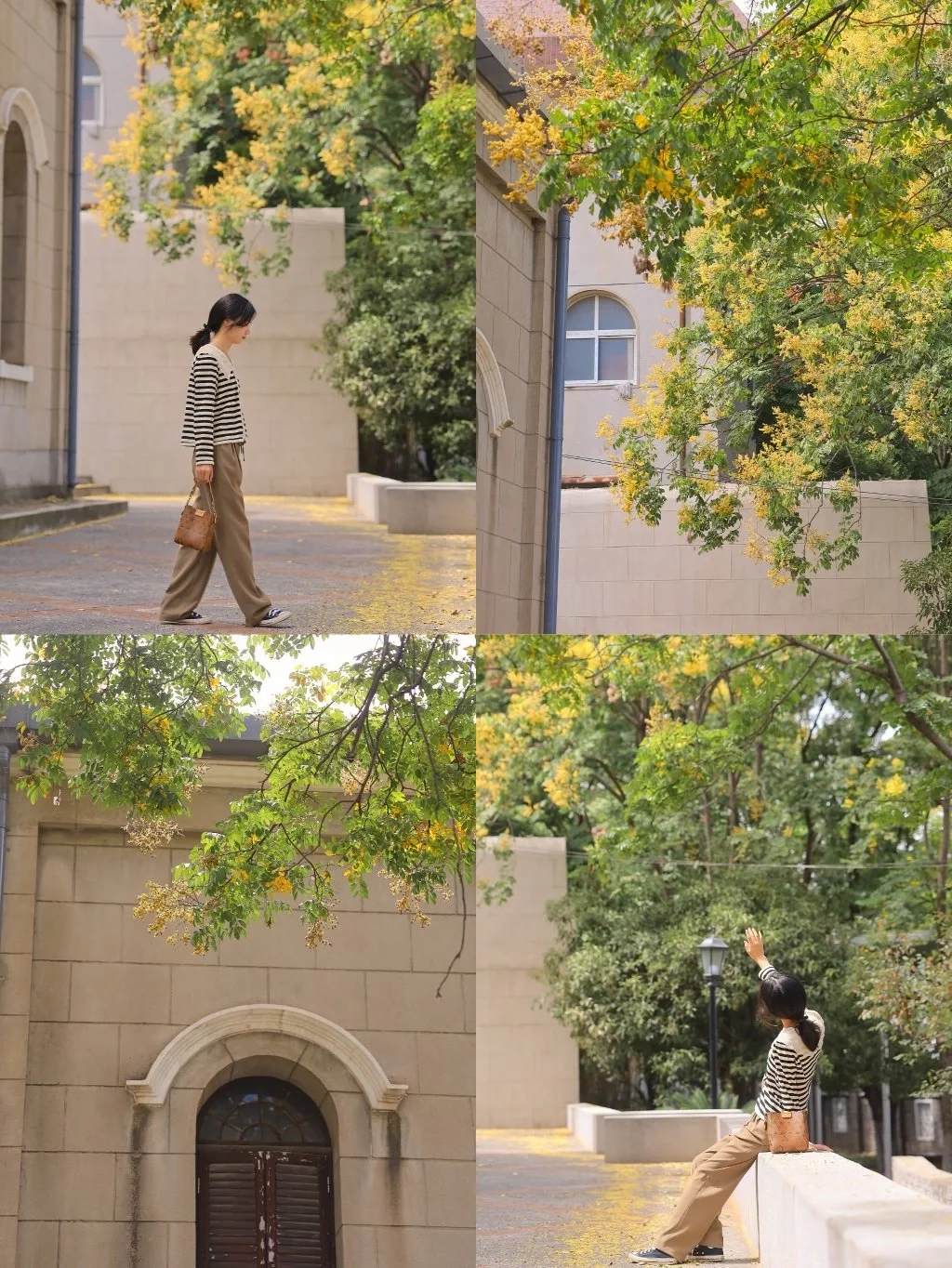 救命❗️武汉里拍照好像首尔，被秋意包围