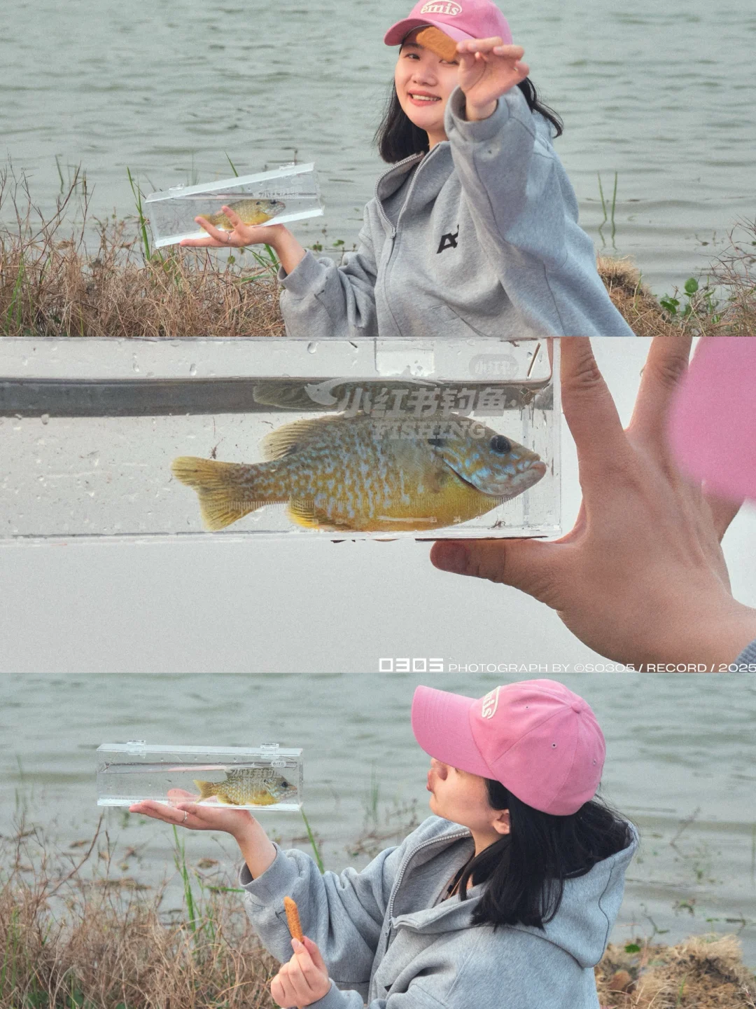 就在成都😌我竟然在成都钓到「罗非鱼🐟」‼️