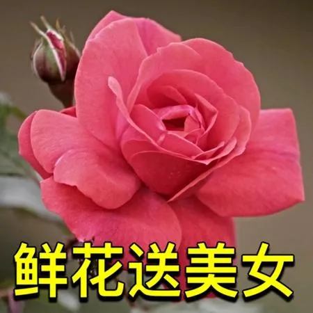 <p>美女制服横行外国人你怎么看 <!--{img:0}--></p>...