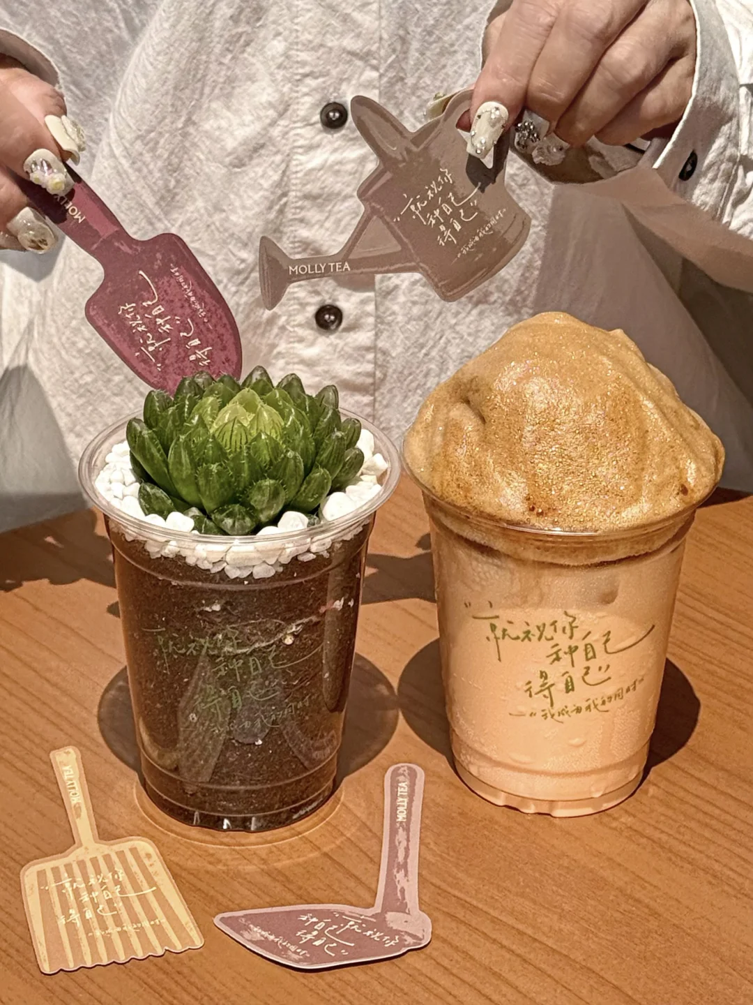 禾伙人全肯定！！绿植歌词杯好看麻了。。。