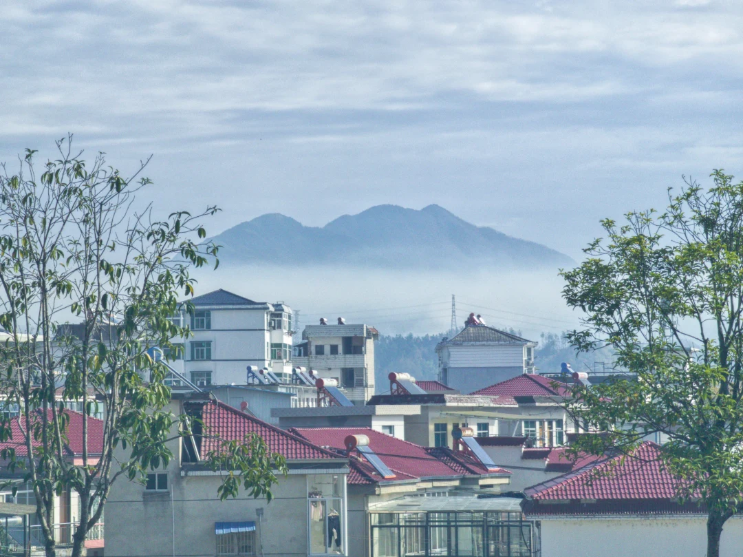 外汇市场周评25.11.17-23