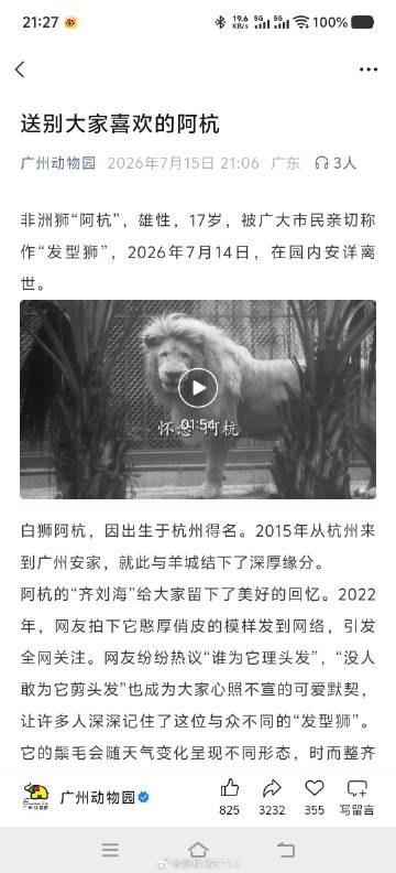 阿杭晚安。