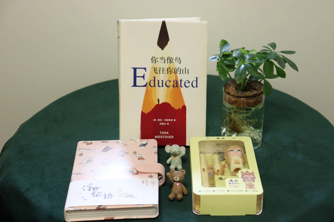 这本书真的很治愈！所有女孩子都值得去读！