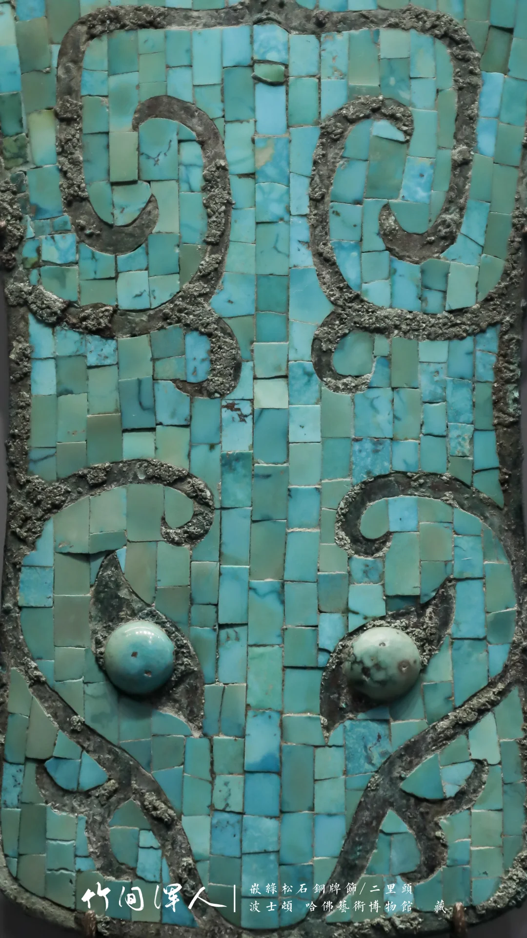 3年，终于在美国看到了第5双来自夏朝的眼睛