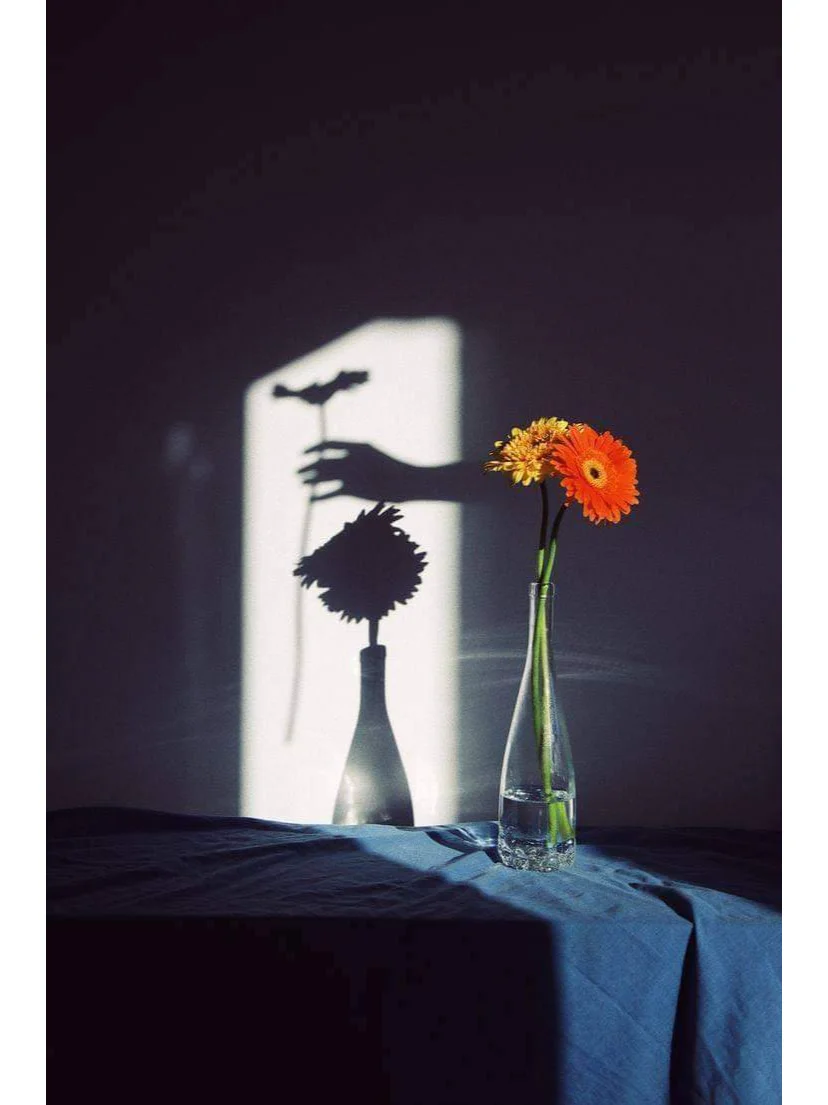 令人赞叹的摄影作品