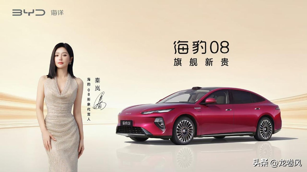 比亚迪这回算是把“内耗”两个字写在脸上了。
同一场发布会，海豹08订单没达预期，海狮08盲订反倒超了。不止超，还超得挺明显。这脸打得，比新车发布会还热闹。
有人说是SUV不靠品牌效应吃饭，这话只说对了一半。SUV确实比轿车更能容人，但你得看是谁在容谁。
你数数，20到30万这个价位，比亚迪自己塞了多