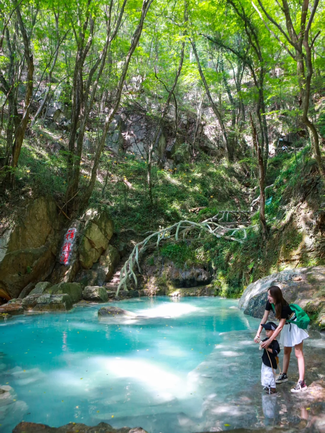 武汉遛娃｜捞🐟捞虾蓝宝石💎溯溪小众森林🌳