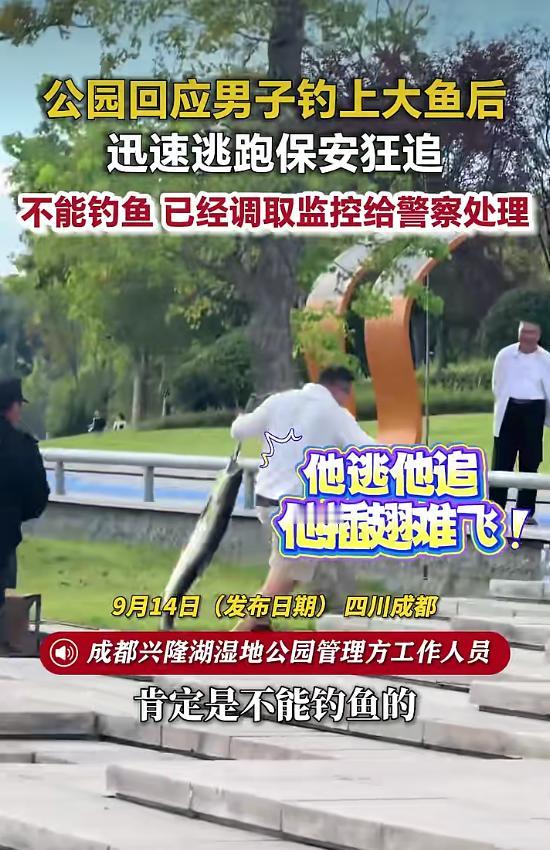 男子在公园钓到大鱼火速逃跑！成都兴隆湖，成都本地的朋友都晓得，兴隆湖湿地公园管得特别严，整片公共水域都是明文禁止垂钓的，压根的不允许任何人私自下杆子钓鱼。园区每天都有保安定时巡逻，专门劝阻这类违规行为，可总有人抱着侥幸心理偷偷乱来。
 
事发当天，一名男子悄悄躲在湖边水域垂钓，估计是运气太好了，居然