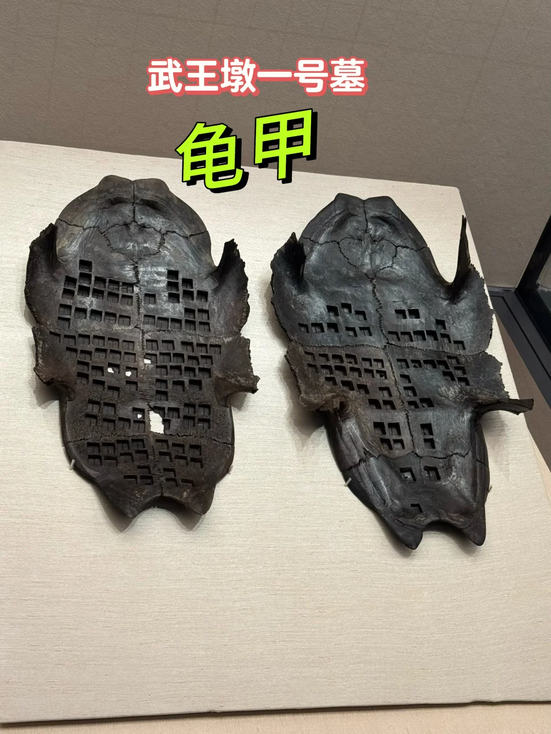 武王墩一号墓出土“龟甲”