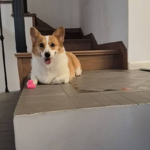 _尧阿尧y_