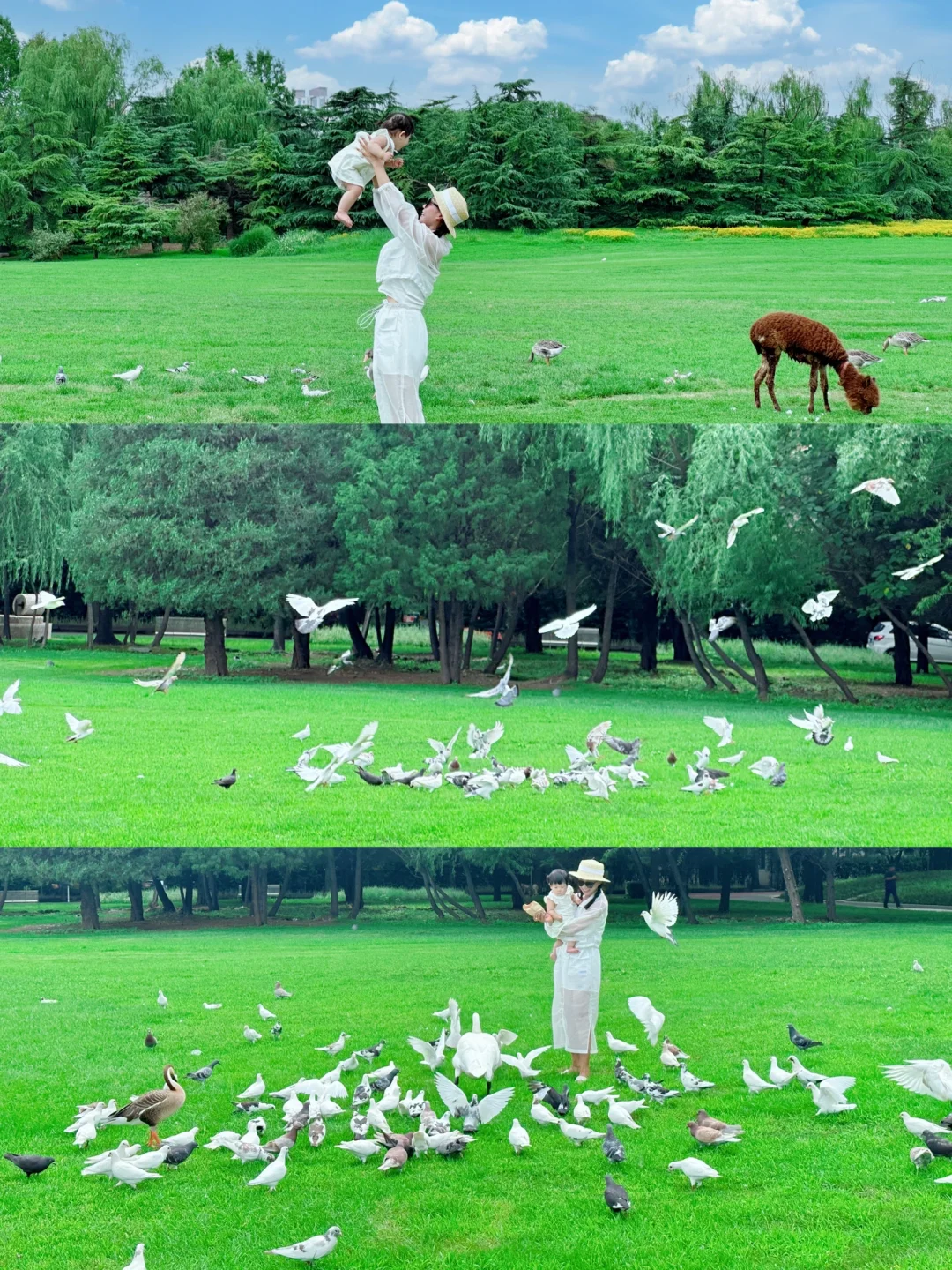 实用贴❗️北京小奈良紫玉山庄约上啦🥰