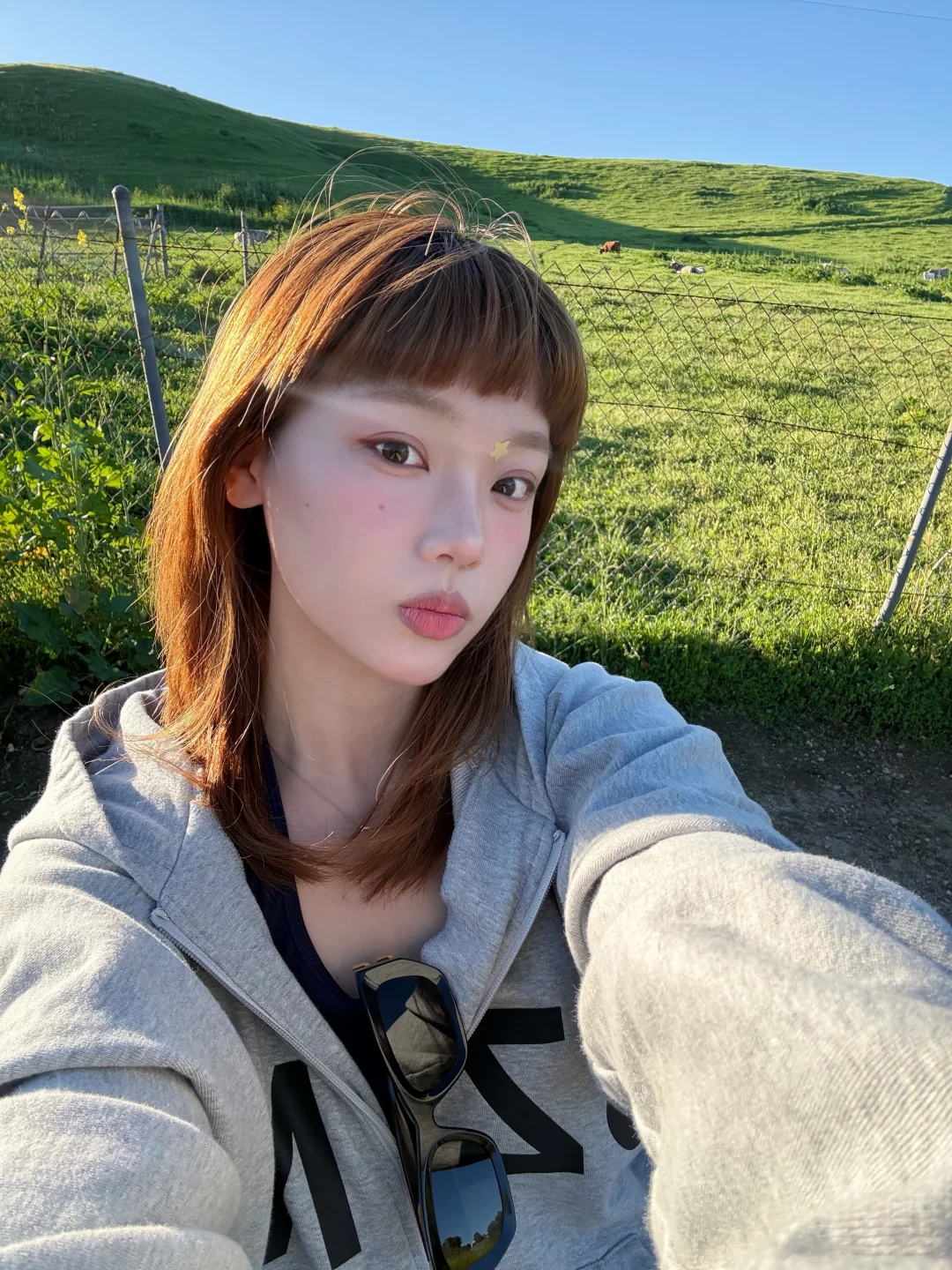 加州生活☀️