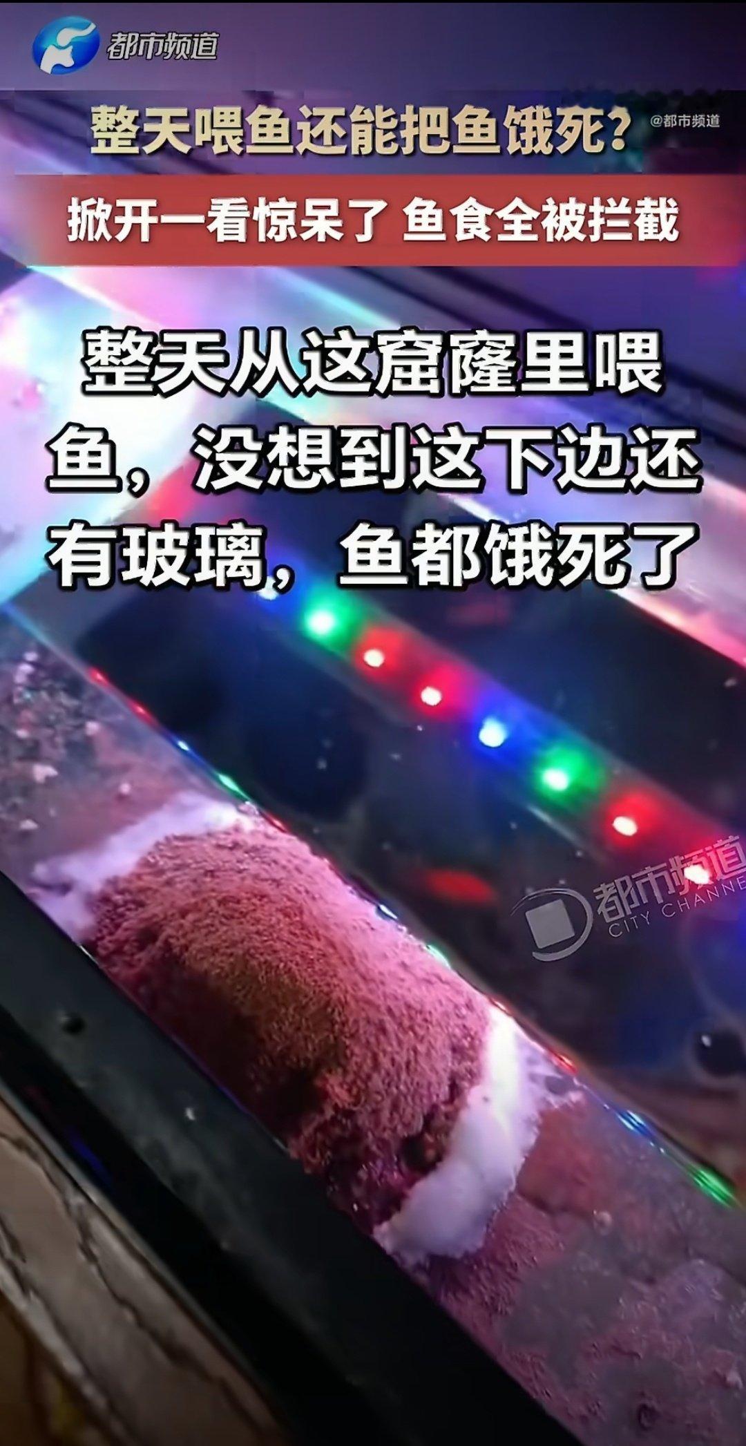 #男子每天喂鱼把鱼饿死发现鱼粮被拦# 人怎么能粗心大意到这种程度的！？一点都不好笑感觉有点无语[流汗] ​
