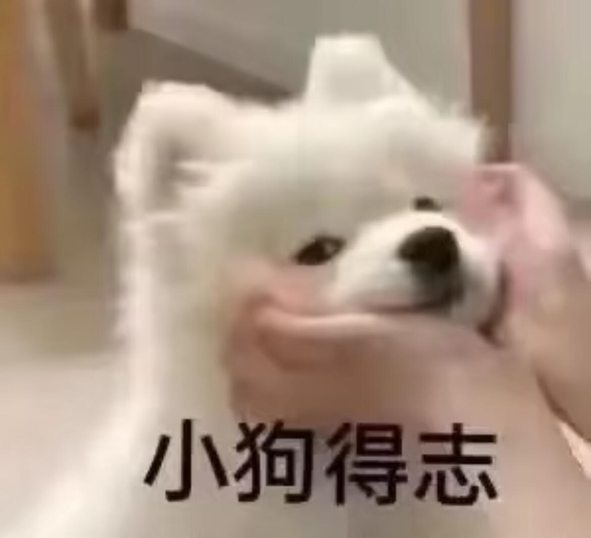 红犬矜夸赤帻妆，隔篱空吠旧沙场。 不知冠冕随风尽，犹抱残骸卧夕阳。 ​​​
