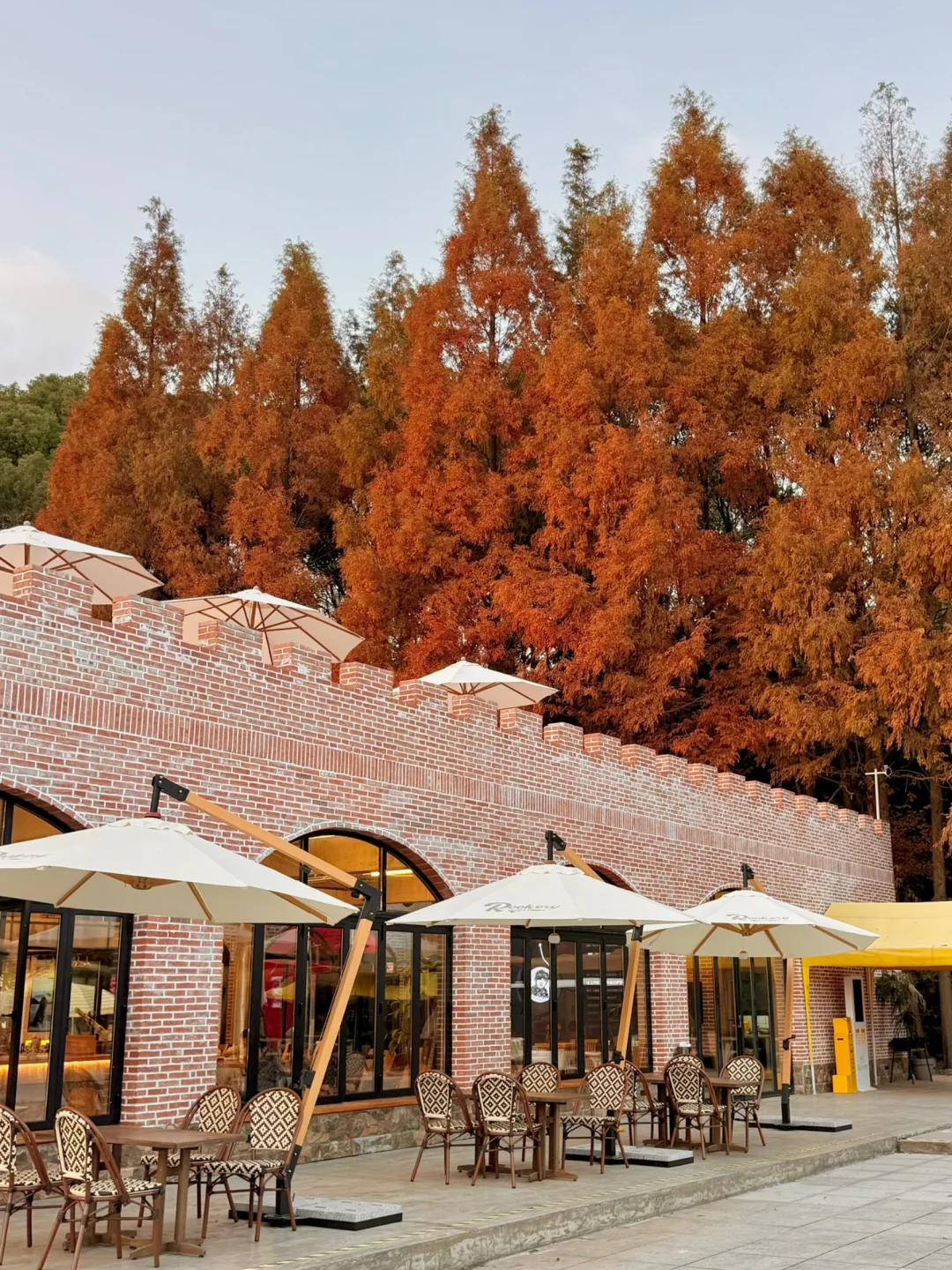 宁波的！新开的！美哭了！😭😭😭