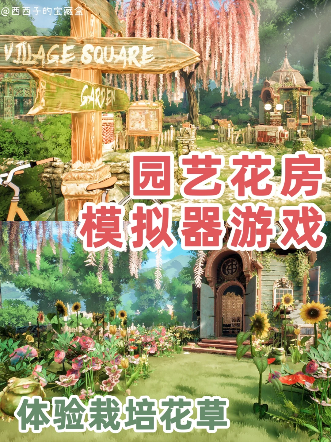 💐温馨惬意花园🌷体验园艺师栽培花草的乐趣