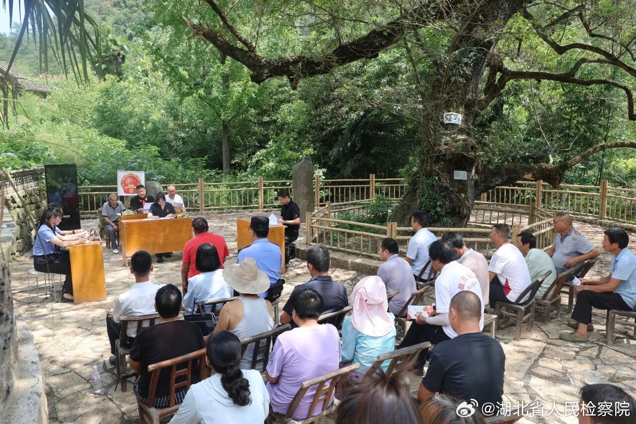 #鄂检新闻#【砍了118株要补种354株，三重责任一个不落】针对乡村普遍存在的法律认知误区，公诉人当庭释法：无论集体山林还是个人承包林地，林木资源归国家、集体所有，采伐必须依法申请许可证，即便获批也要严格按指定地点、数量、树种和时限实施。公益诉讼起诉人进一步阐明，私自滥伐破坏区域生态循环 ​