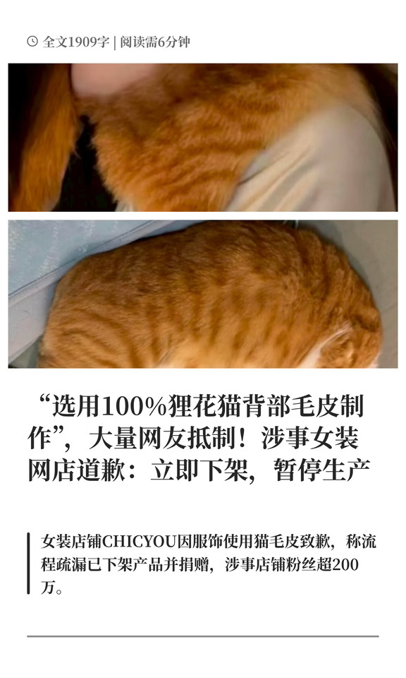 用猫皮毛做毛领涉事女装网店道歉，律师解读