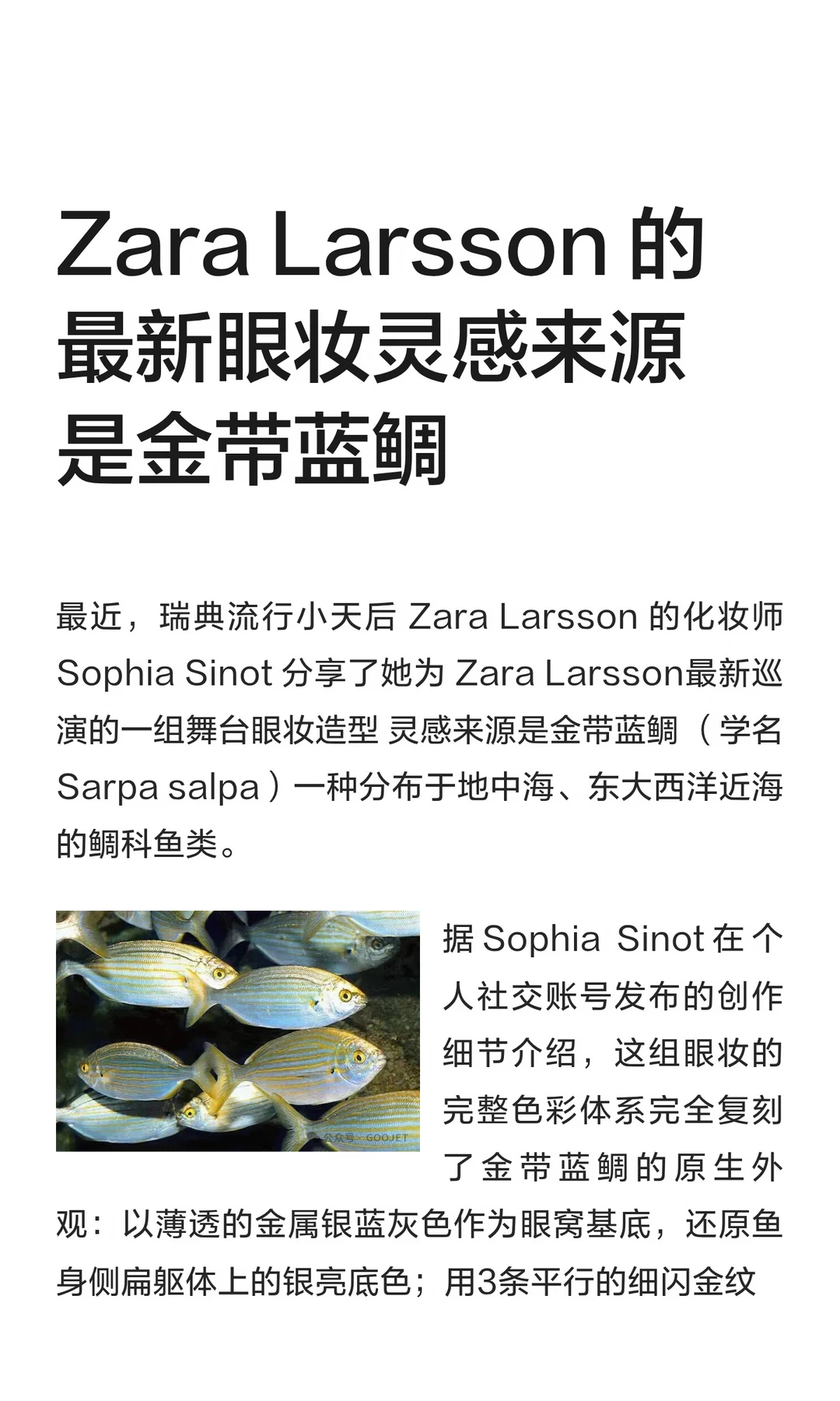 Zara Larsson 的最新眼妆灵感来源是金带蓝鲷