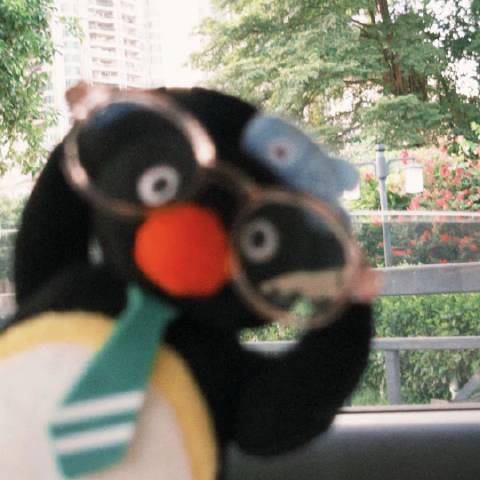 花菜观社会