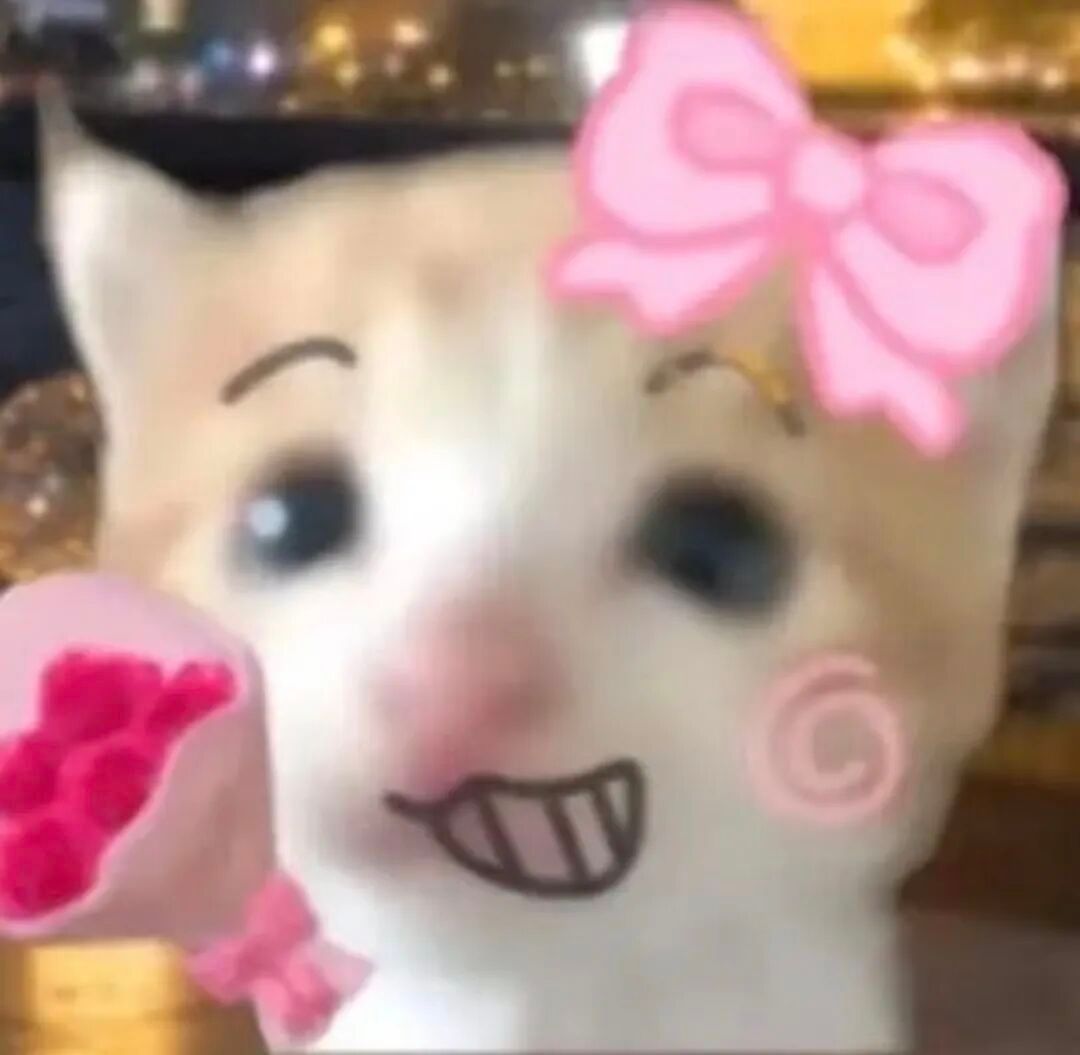 死对头小猫表情包