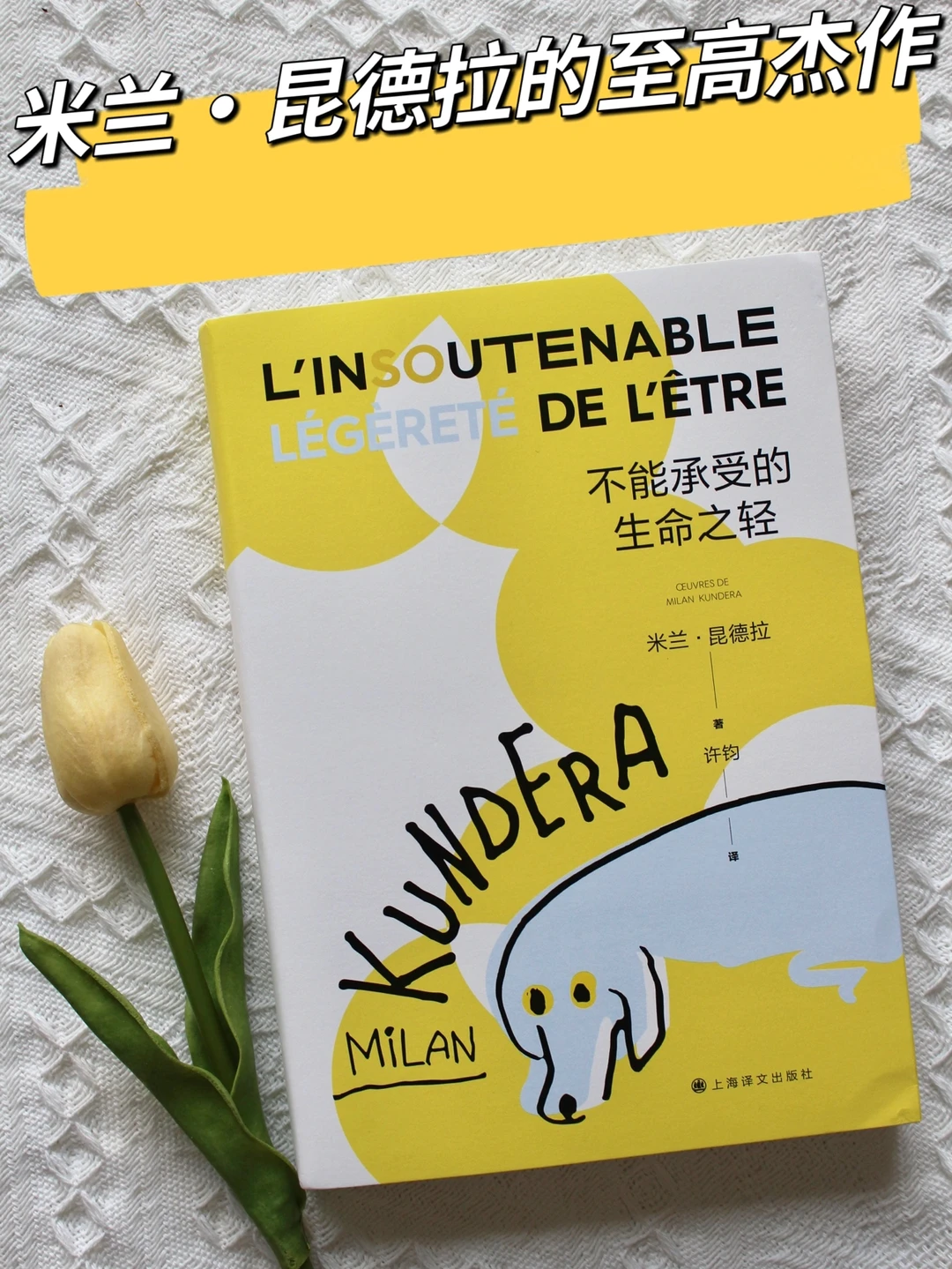 米兰•昆德拉的至高杰作！
